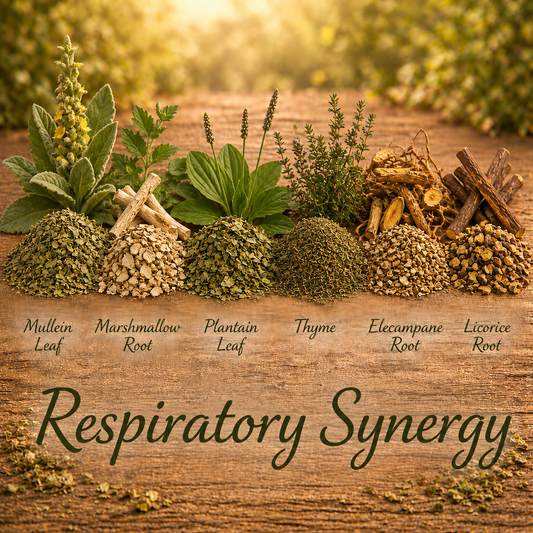 Respiratory Synergy (Karli's Blend)